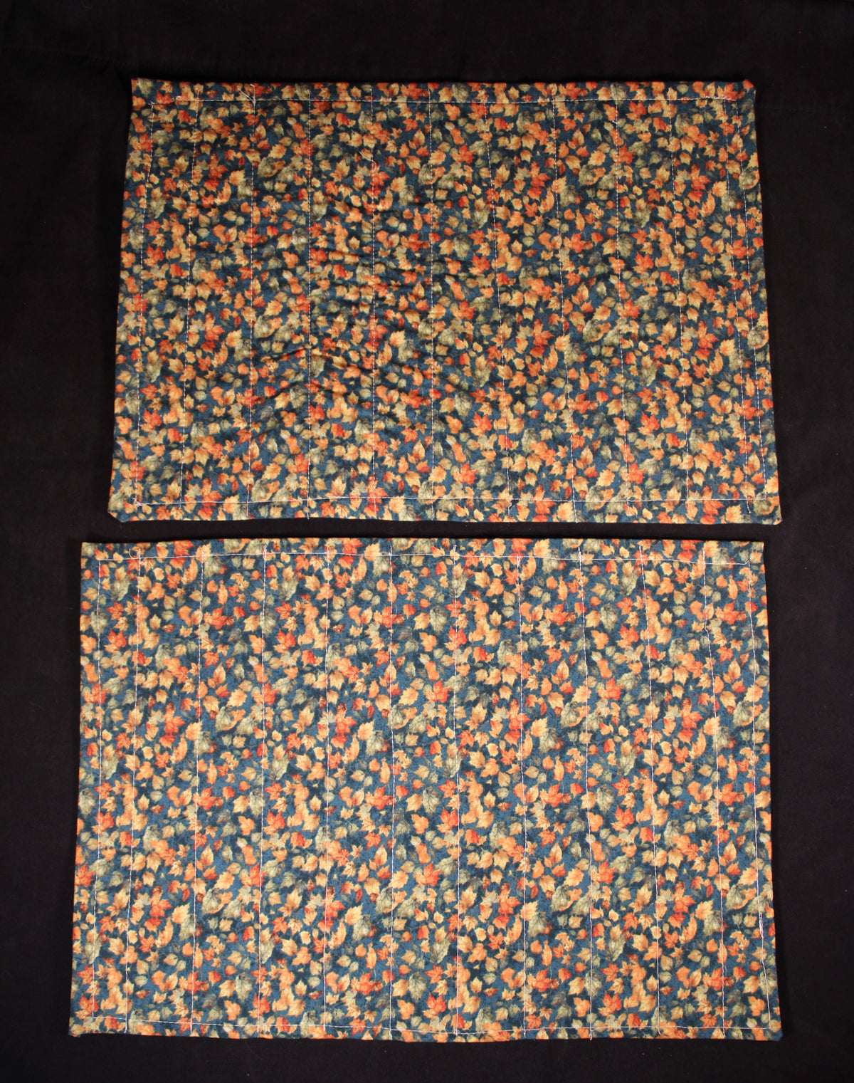 Pair of Elegant Autumn Placemats